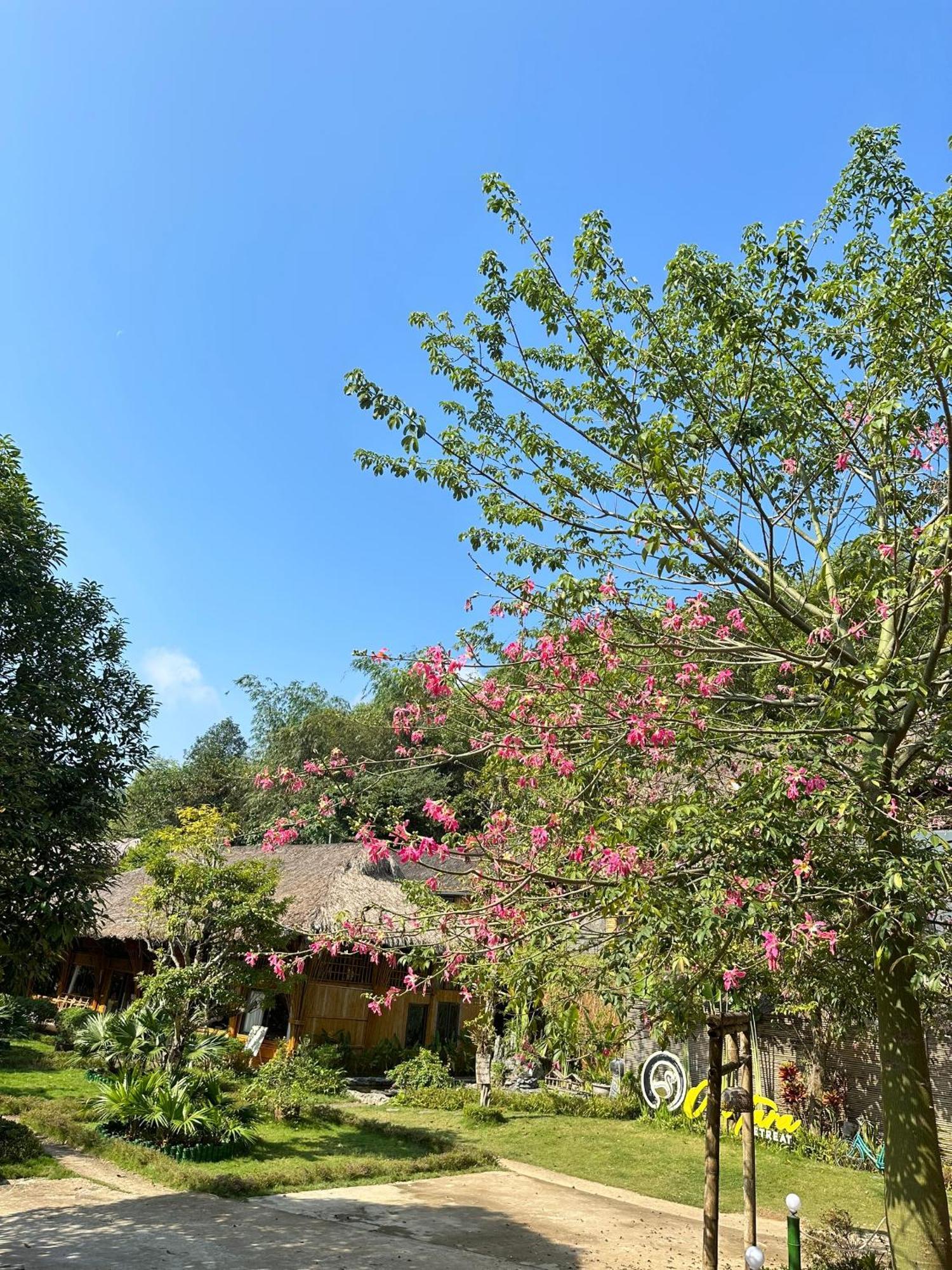 Hotel Om Tara Retreat Yen Bai Exterior foto